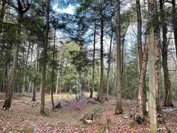 TBD East Side Drive, Beaver Island, MI 49782