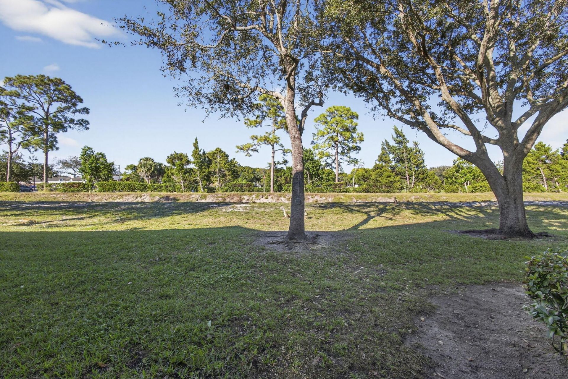 3055 Grandiflora Drive, Greenacres, FL 33467 Photo