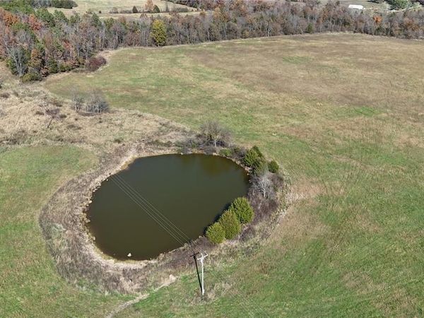 xxxx county rd. 700, Ellington, MO 63638