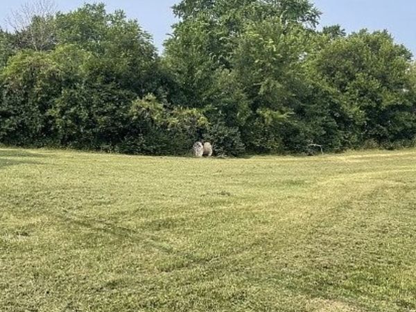 226 Bluff Court, Grayslake, IL 60030