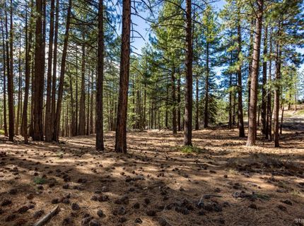 Please Call For Address, South Lake Tahoe, CA 96150 Photo