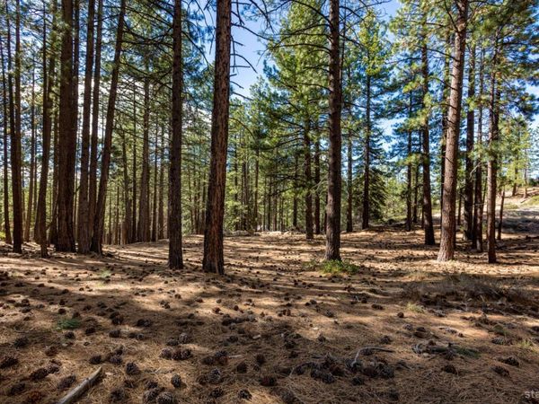 South Lake Tahoe, CA 96150