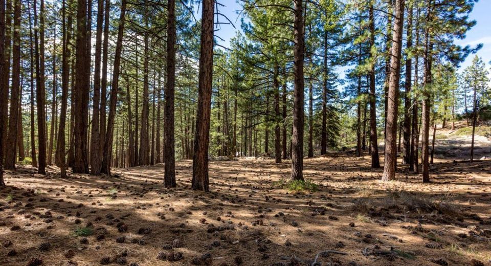 Please Call For Address, South Lake Tahoe, CA 96150 Photo