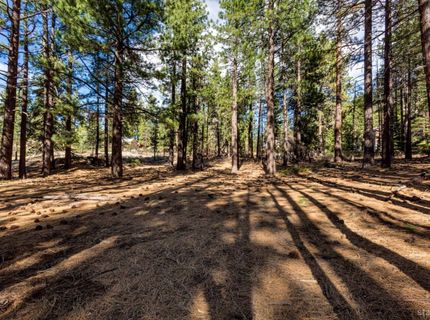 Please Call For Address, South Lake Tahoe, CA 96150 Photo