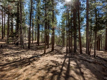 Please Call For Address, South Lake Tahoe, CA 96150 Photo