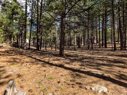 Please Call For Address, South Lake Tahoe, CA 96150 Photo