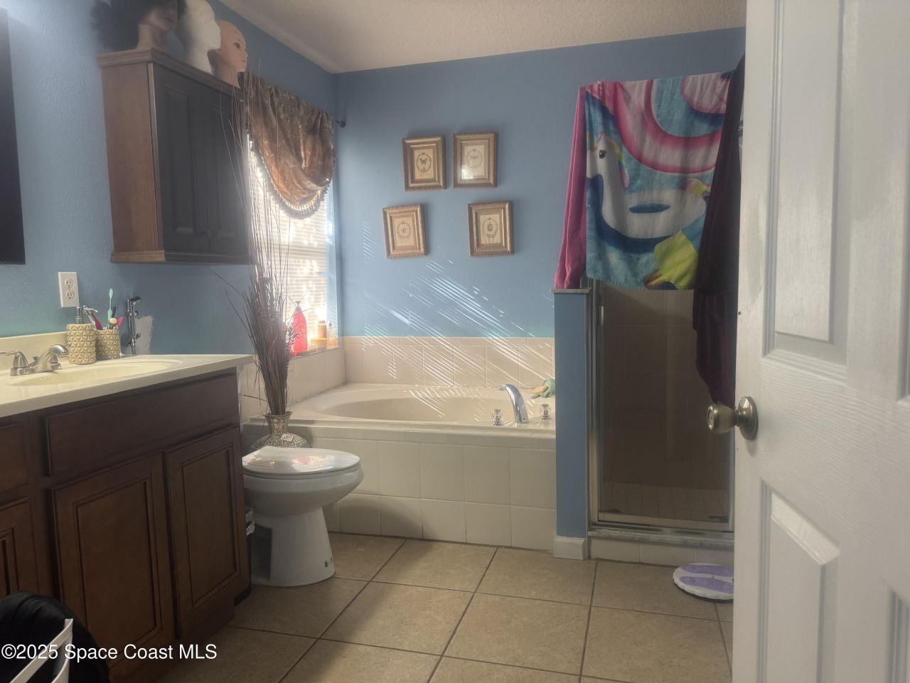 561 Borraclough Avenue Nw, Grant, FL 32949 Photo