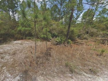 158 FERNCREEK DRIVE, GEORGETOWN, FL 32139
