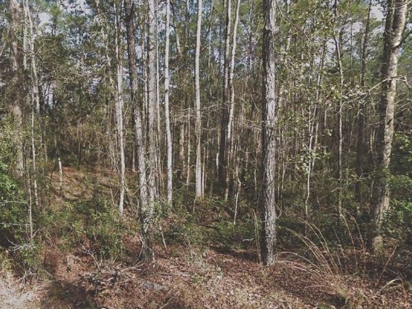 130 SE 5TH STREET, PALATKA, FL 32177