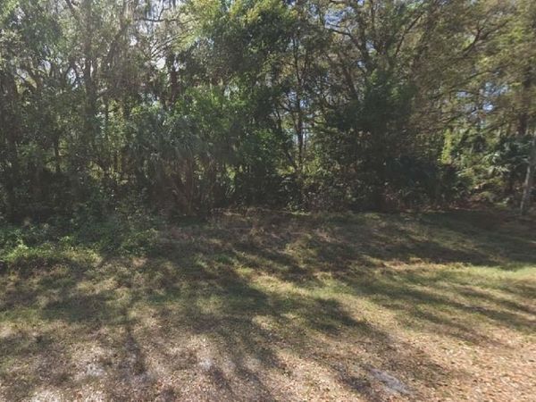324 E EDGEWOOD DRIVE, GEORGETOWN, FL 32139