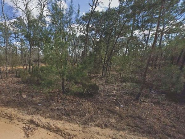 133 LAKE LUCY COURT, INTERLACHEN, FL 32148