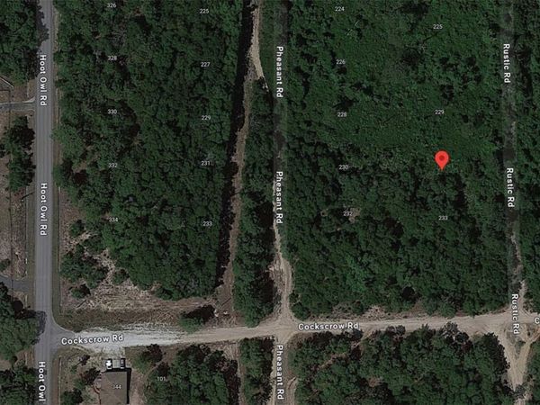 231 RUSTIC ROAD, SATSUMA, FL 32189