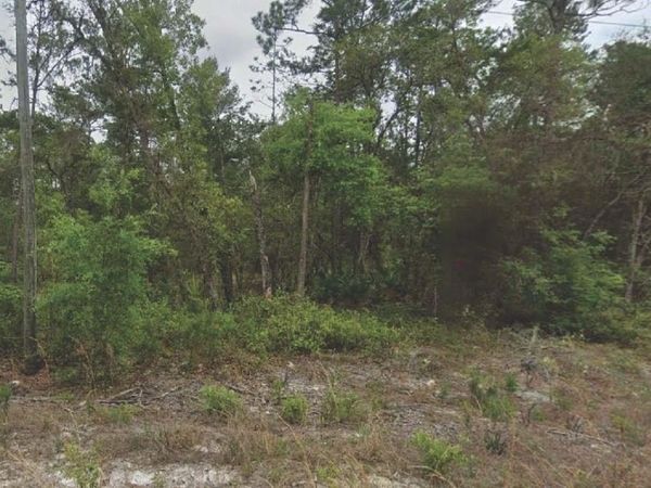 120 NEW YORK AVENUE, SATSUMA, FL 32189