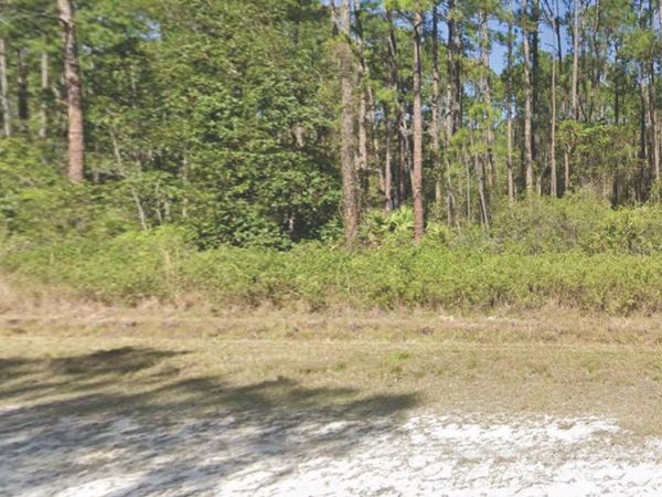 226 TERRI AVENUE, GEORGETOWN, FL 32139