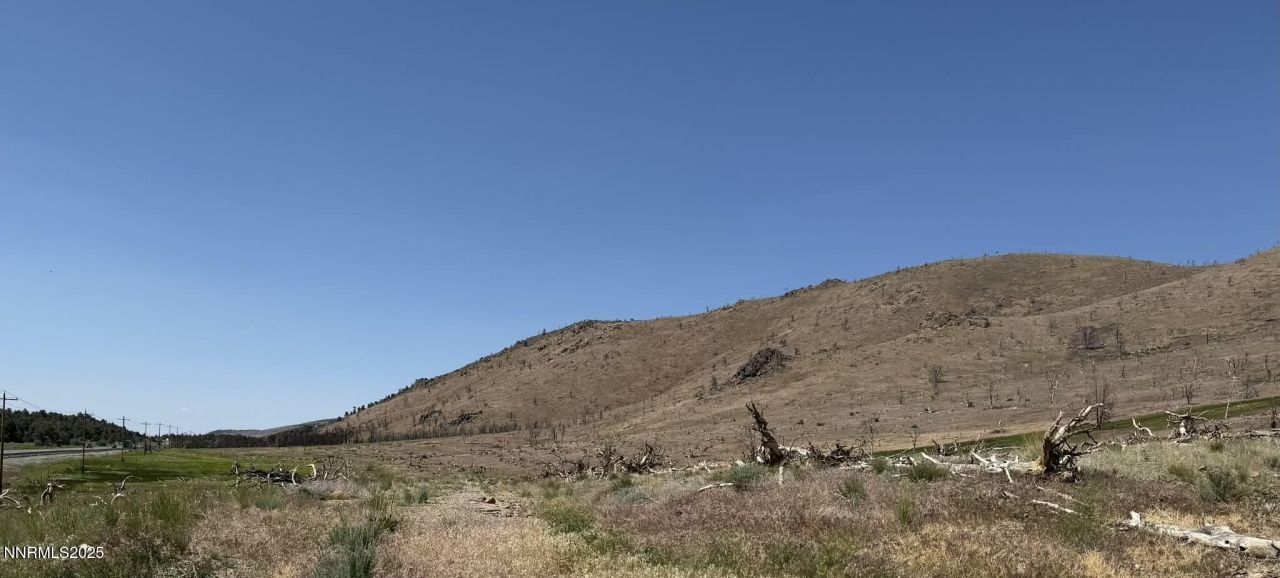 Tbd Hwy 395, Gardnerville, NV 89410 Photo