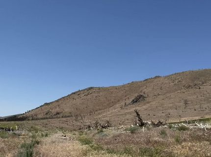 Tbd Hwy 395, Gardnerville, NV 89410 Photo