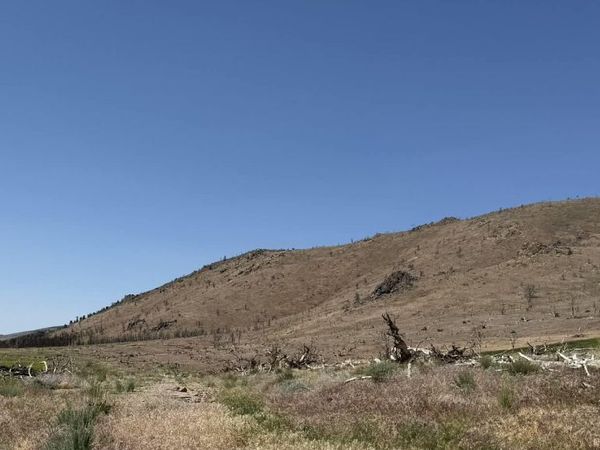 TBD Hwy 395, Gardnerville, NV 89410