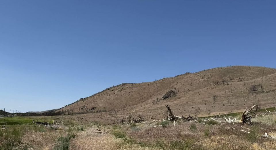 Tbd Hwy 395, Gardnerville, NV 89410 Photo