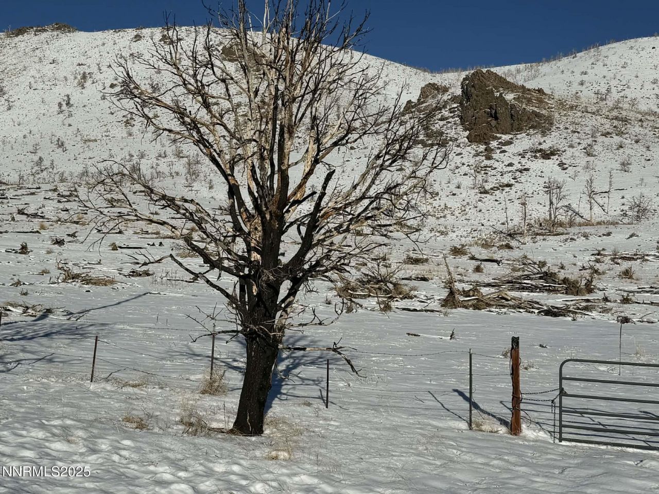 Tbd Hwy 395, Gardnerville, NV 89410 Photo