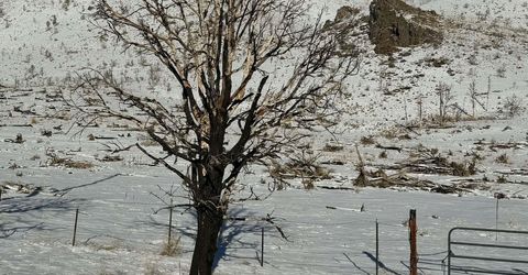 Tbd Hwy 395, Gardnerville, NV 89410 Photo