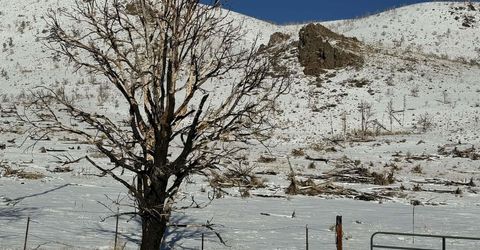 Tbd Hwy 395, Gardnerville, NV 89410 Photo