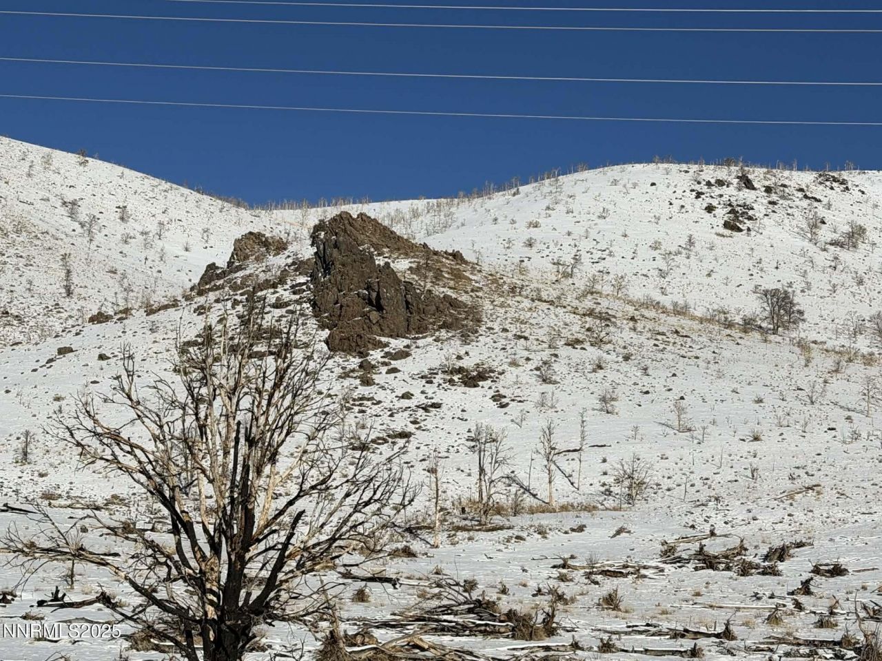 Tbd Hwy 395, Gardnerville, NV 89410 Photo