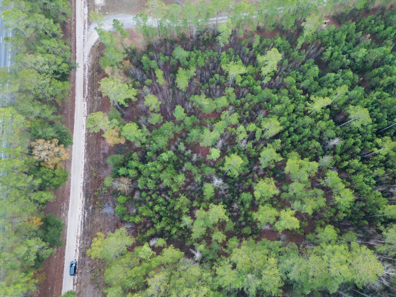 00 Live Oak Road Photo 11