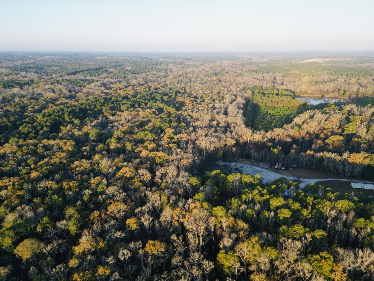 00 Live Oak Road Photo 18