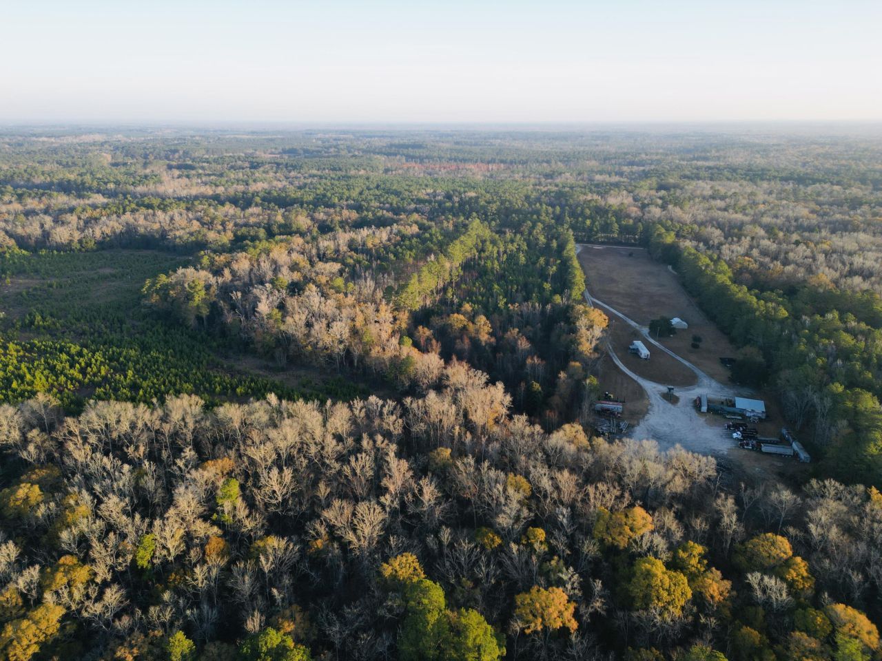 00 Live Oak Road Photo 19