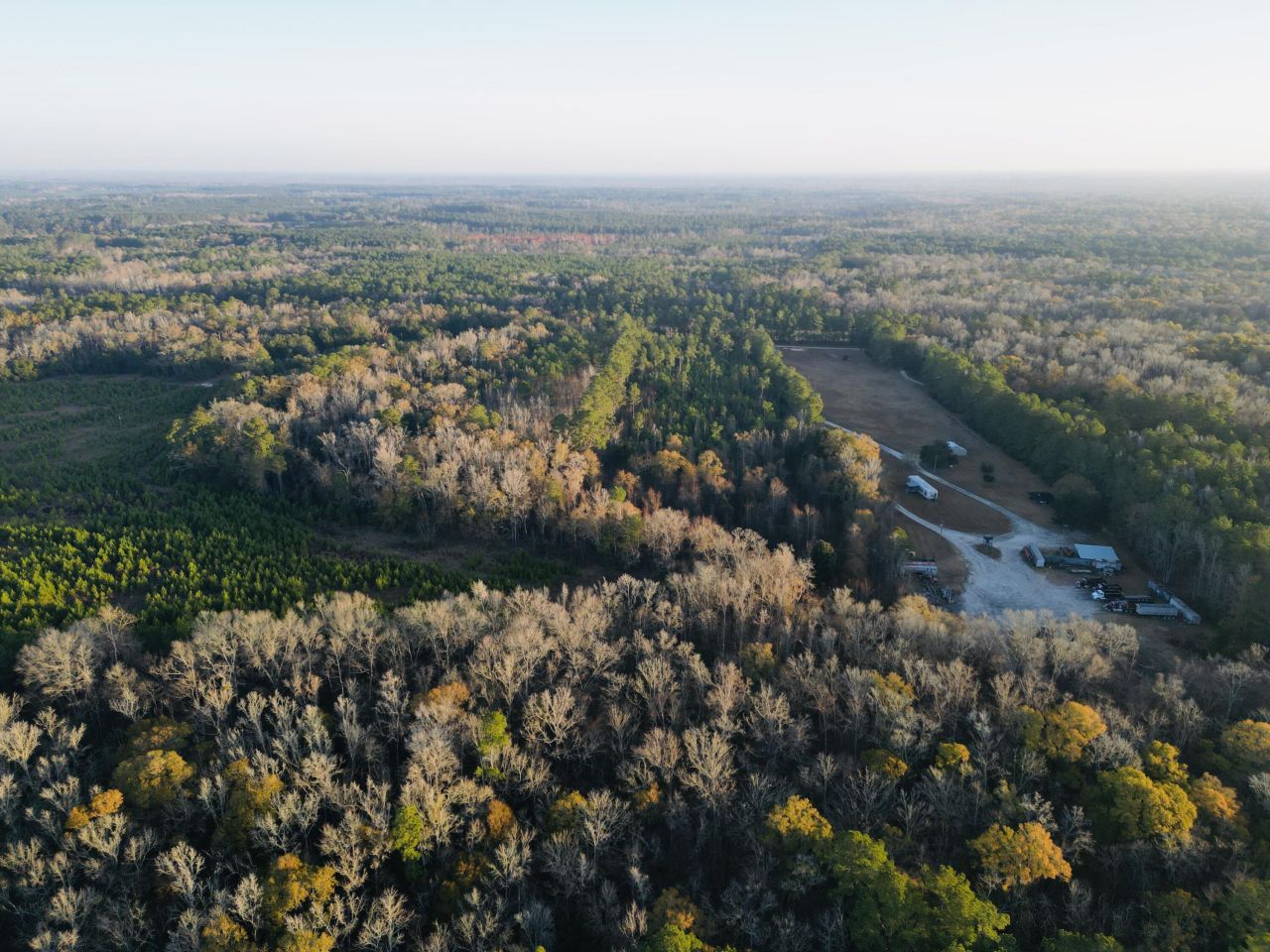 00 Live Oak Road Photo 20