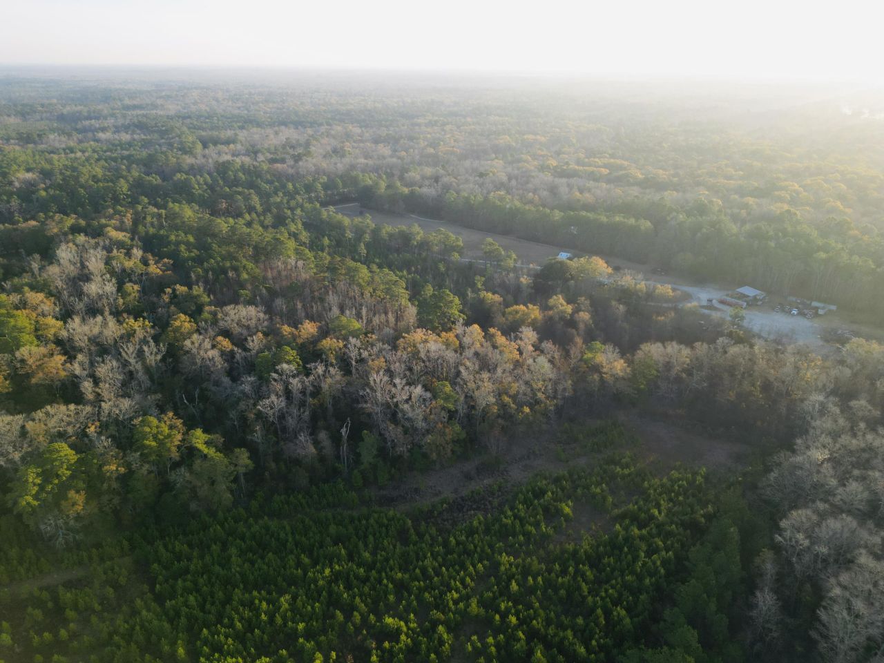 00 Live Oak Road Photo 22