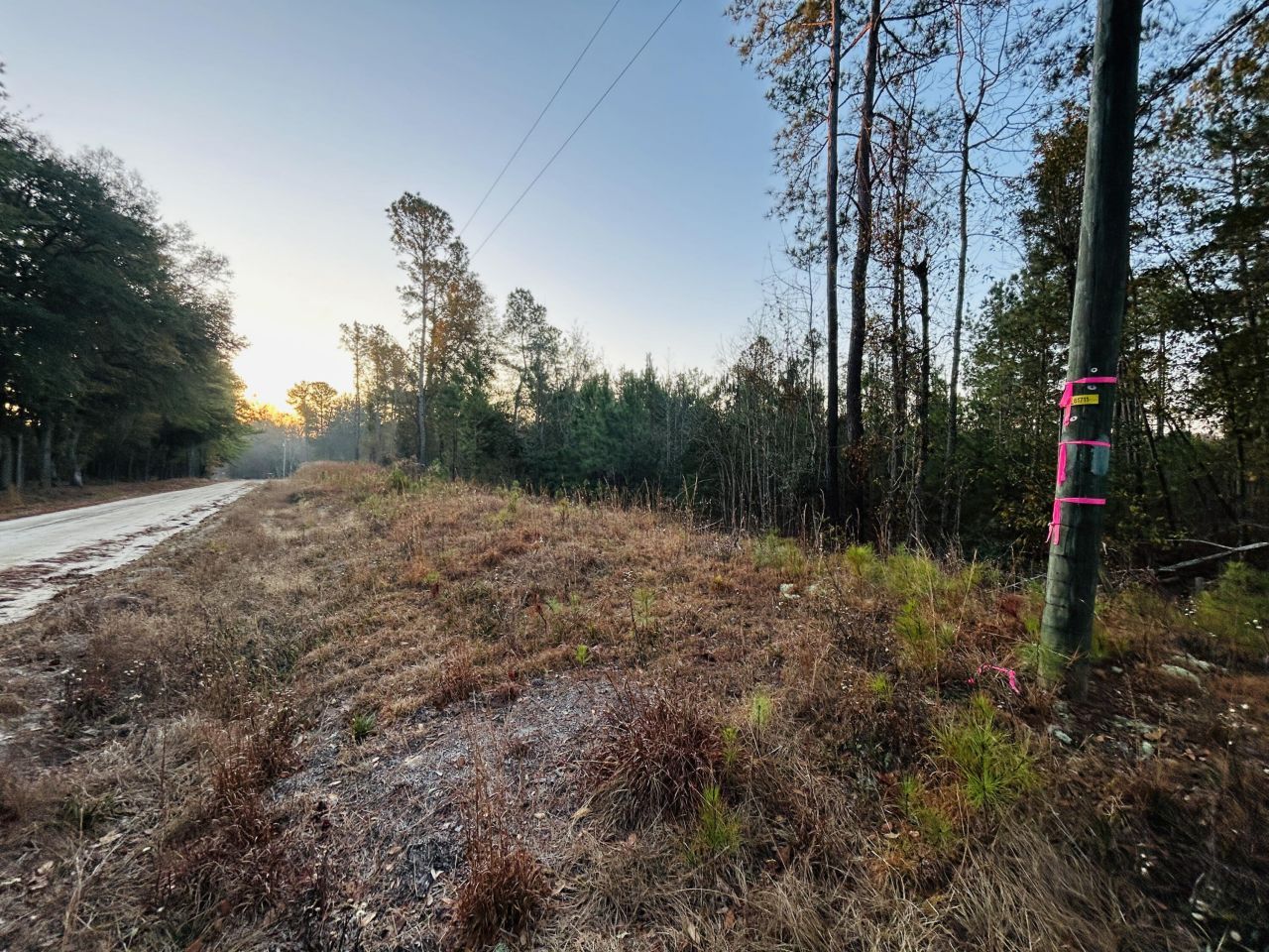 00 Live Oak Road Photo 26