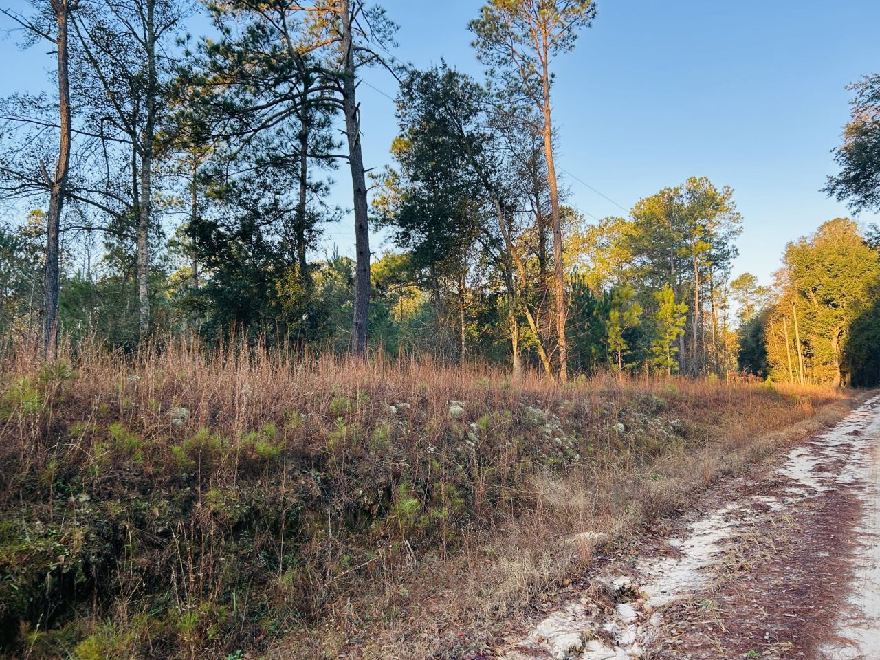 00 Live Oak Road Photo 28