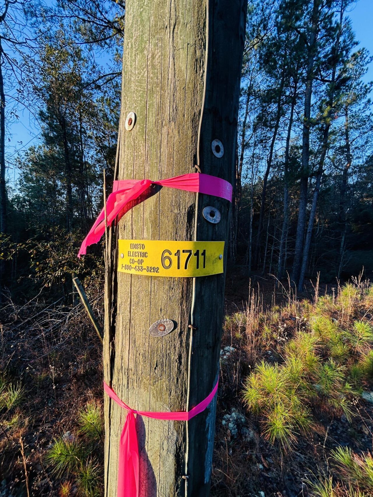 00 Live Oak Road Photo 31