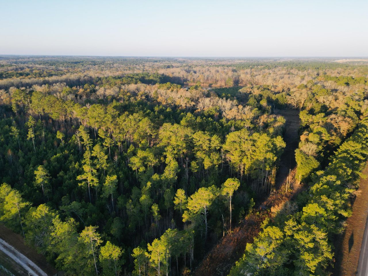 00 Live Oak Road Photo 7