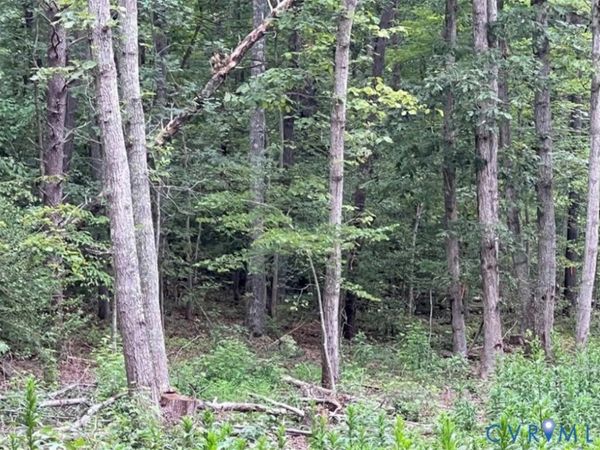 00 Ware Road , Quinton, VA 23141