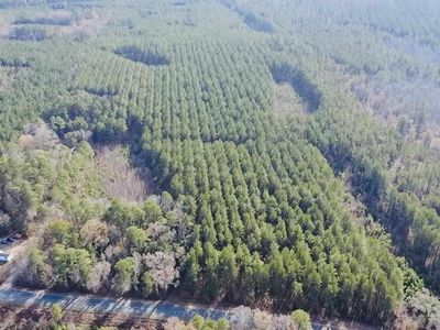 9214 Kingstree Highway, Greeleyville, SC 29056