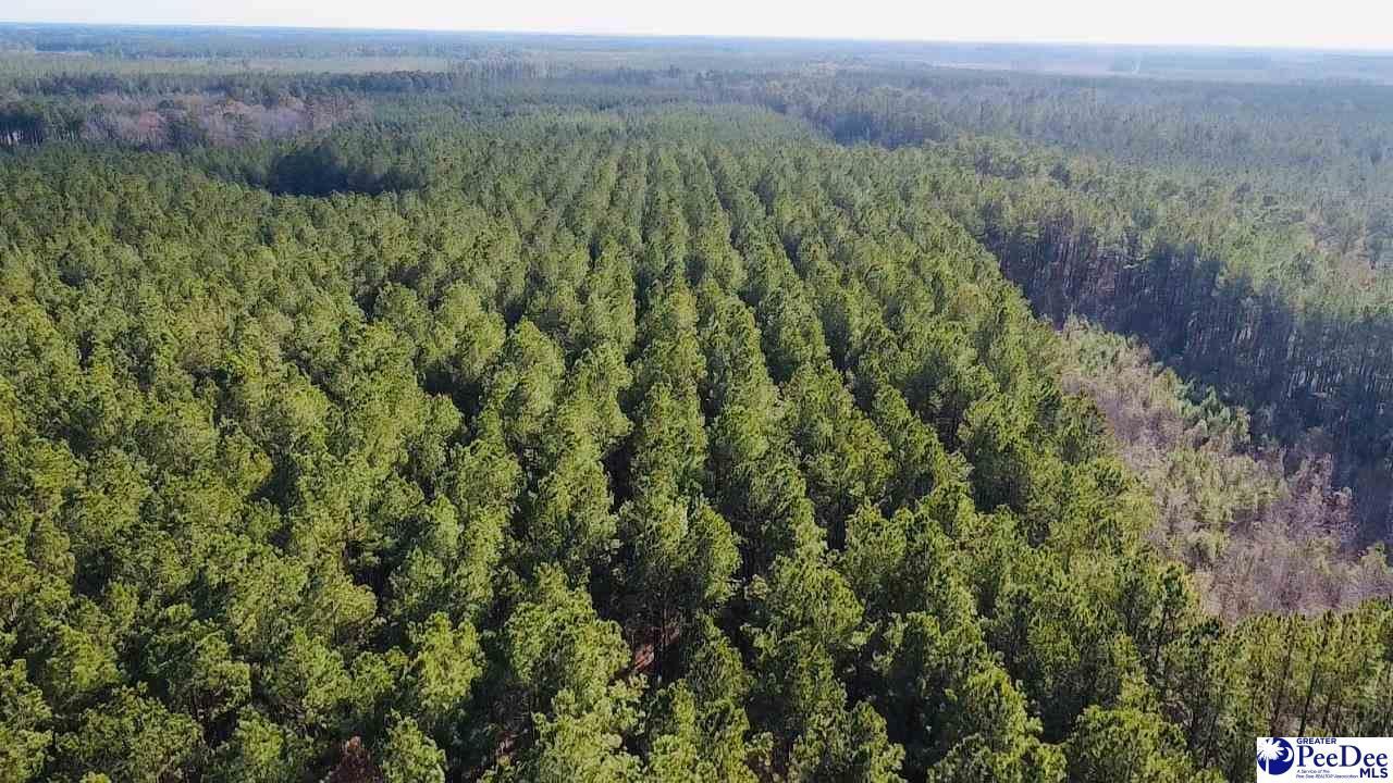 9214 Kingstree Highway Photo 10