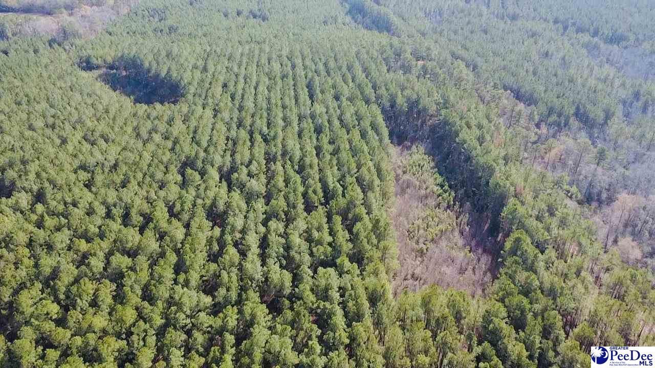 9214 Kingstree Highway Photo 12