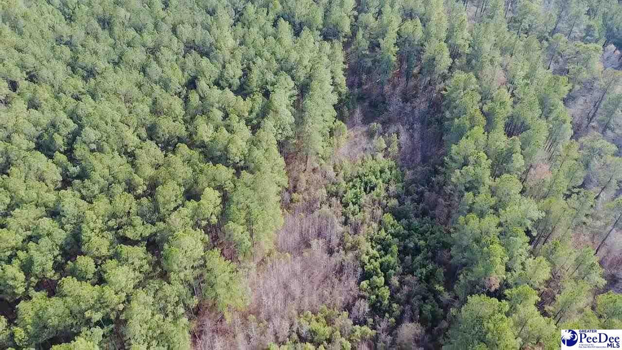 9214 Kingstree Highway Photo 14