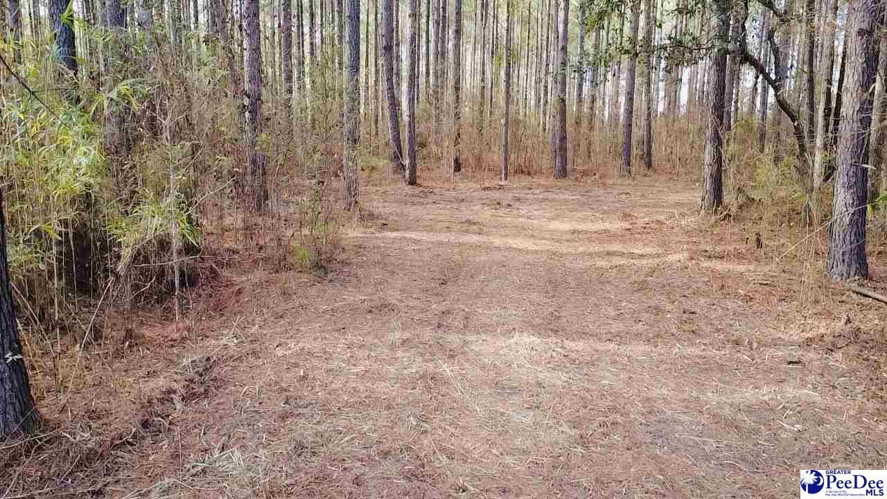 9214 Kingstree Highway Photo 18