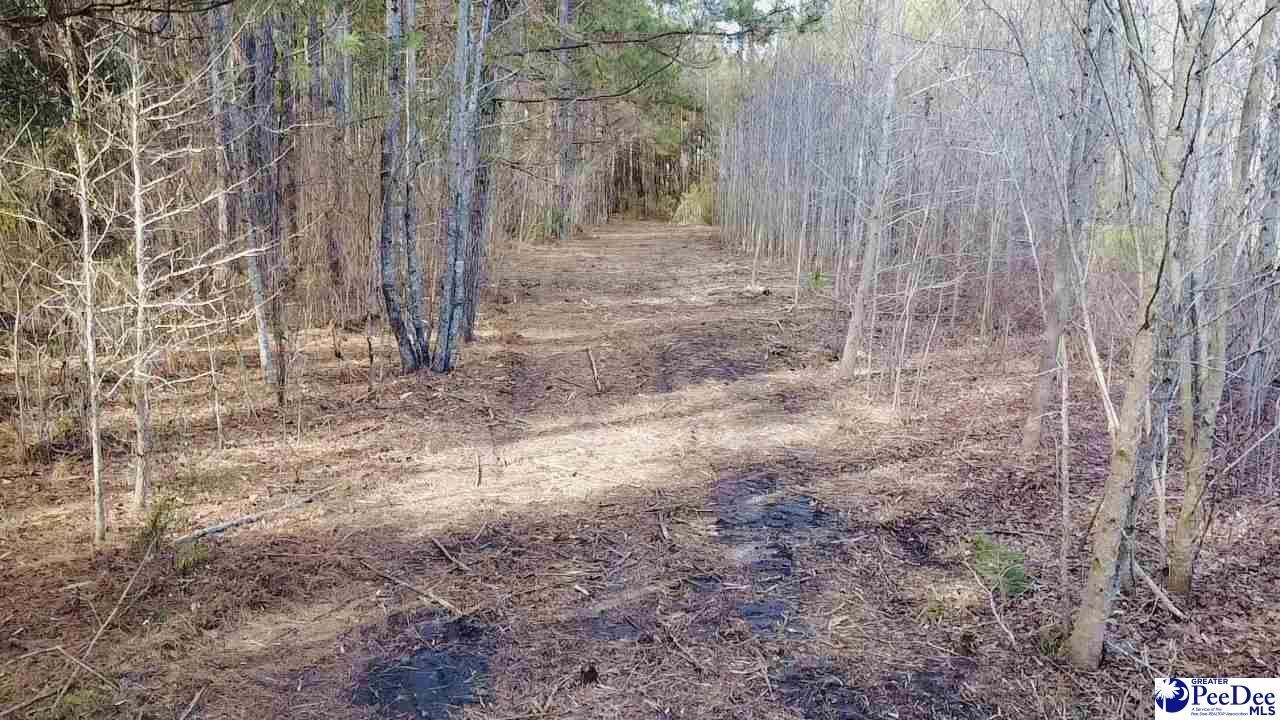 9214 Kingstree Highway Photo 19