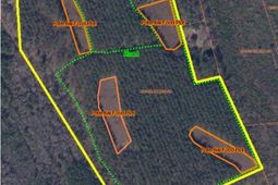 9214 Kingstree Highway photo 4