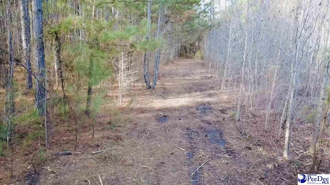 9214 Kingstree Highway Photo 20