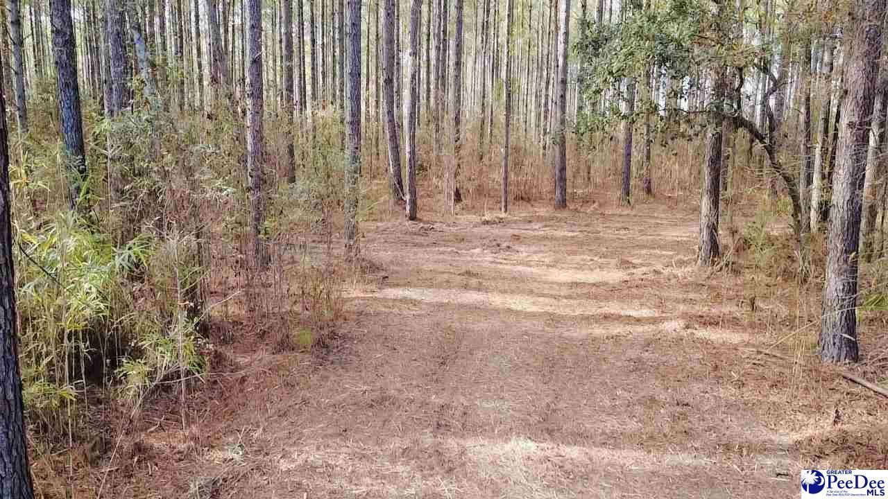 9214 Kingstree Highway Photo 22