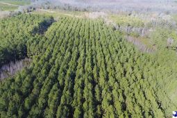 9214 Kingstree Highway photo 4