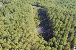 9214 Kingstree Highway photo 4