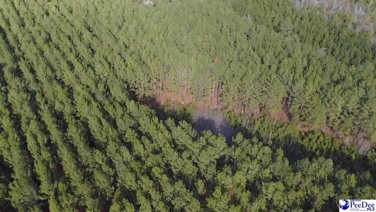 9214 Kingstree Highway Photo 5