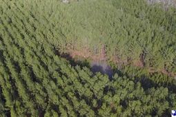 9214 Kingstree Highway photo 4