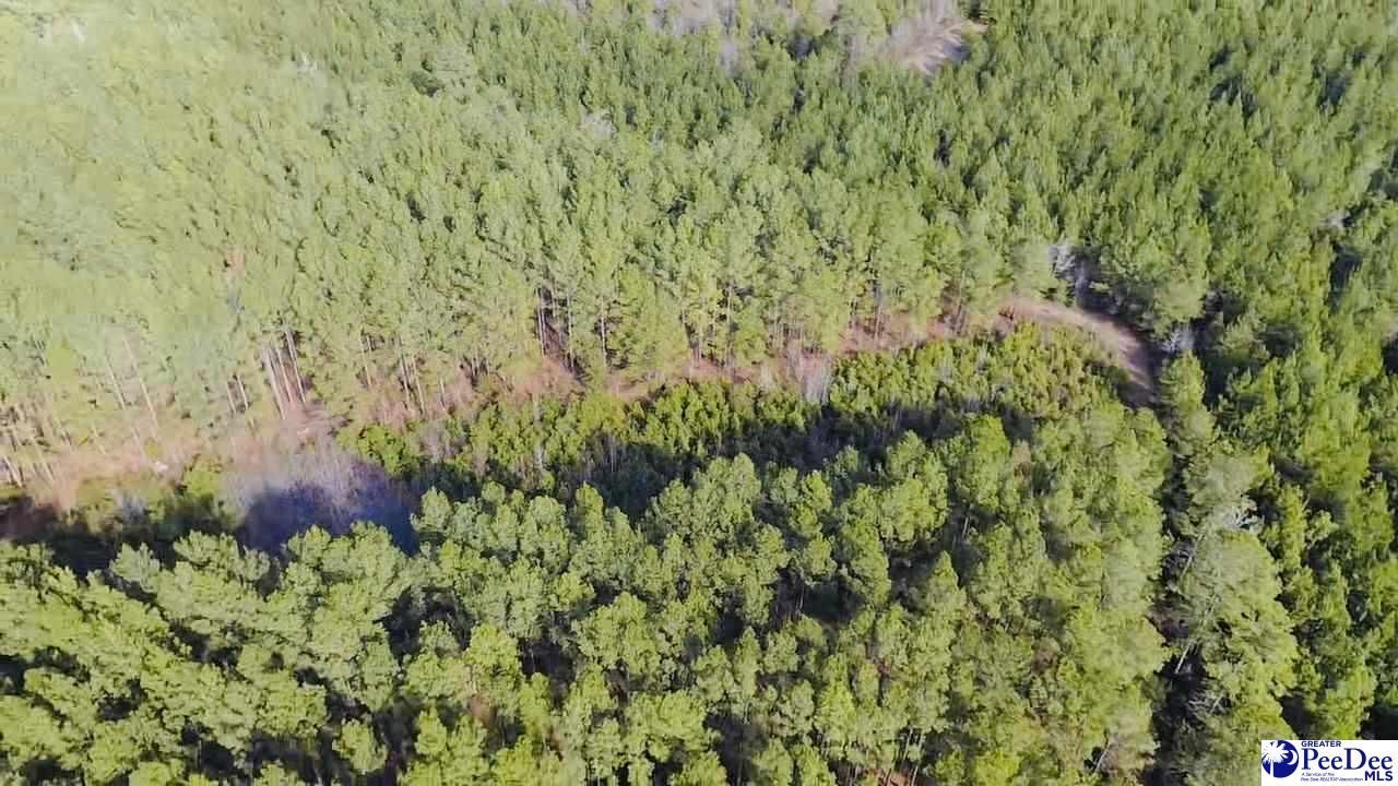 9214 Kingstree Highway Photo 6